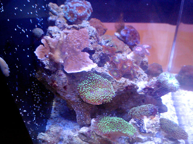 Left Side of Tank